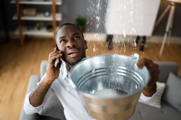 Best 24-hour water damage restoration  in Sheffield, IA