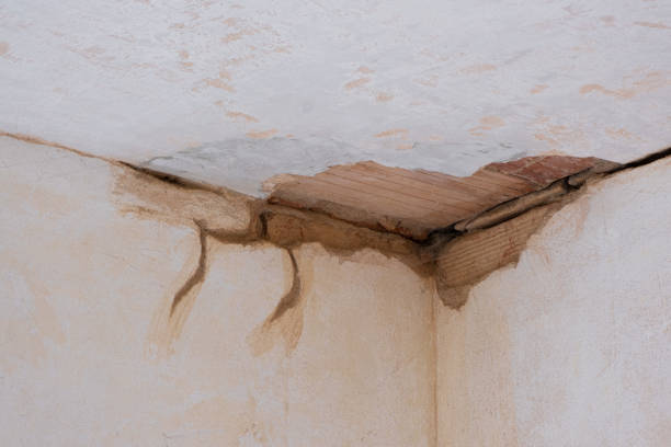 Best Water damage contractors near me  in Sheffield, IA