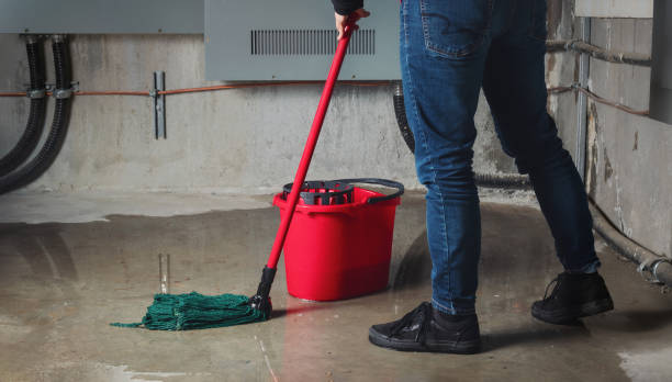 Best Fire Damage Restoration  in Sheffield, IA