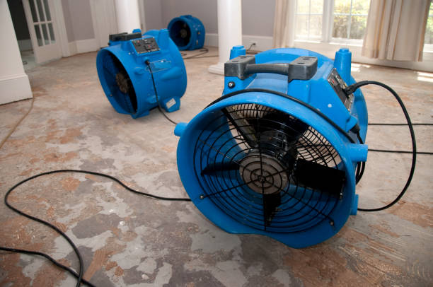 Best Flooded house restoration  in Sheffield, IA