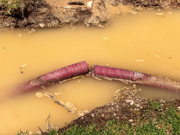 Best Water damage restoration near me  in Sheffield, IA
