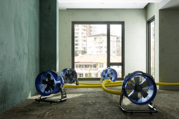 Best Commercial water damage restoration  in Sheffield, IA