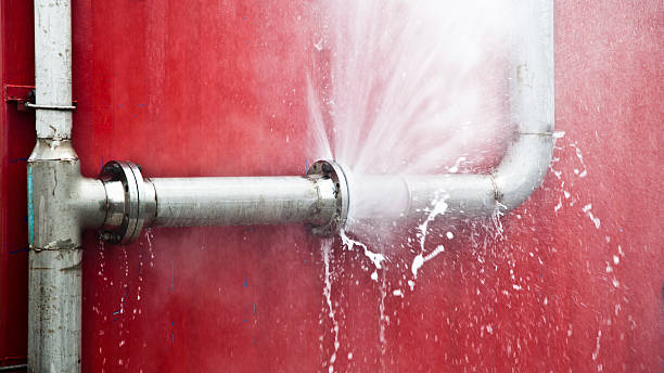 Best Basement water damage restoration  in Sheffield, IA